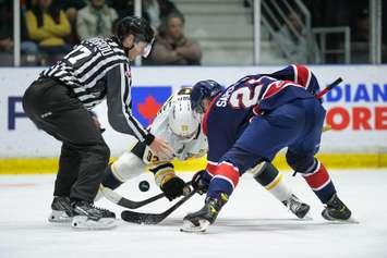 The Sarnia Sting fell 4-3 to the Saginaw Spirit on Friday, November 11 at the Progressive Auto Sales Arena in Sarnia. (Photo courtesy of Metcalfe Photography)