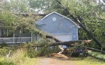 A fallen tree sits on a car near Waterford after storms blew through the area Wed June 13, 2018. Photo courtesy of the OPP. 