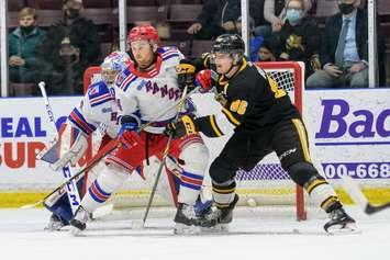 Kitchener Rangers at Sarnia Sting, March 6, 2022.   (Metcalfe Photography)