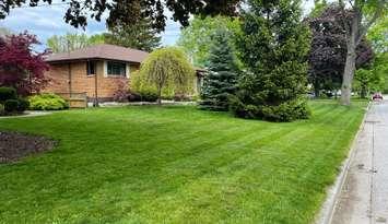 A photo of a lawn taken care of by L&L Lawn Care (Photo by: L& L Lawn Care Facebook page)