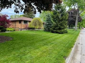 A photo of a lawn taken care of by L&L Lawn Care (Photo by: L& L Lawn Care Facebook page)