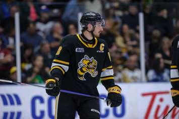 Sarnia Sting Captain Nolan Dillingham (Photo by Metcalfe Photography)