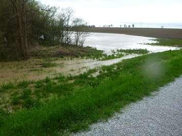 Flooding of farmers field. (Photo courtesy of the St. Clair Region Conservation Authority)