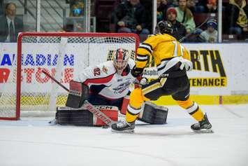 Sarnia Sting home to the Windsor Spitfires February 4, 2024. Photo by Metcalfe Photography. 