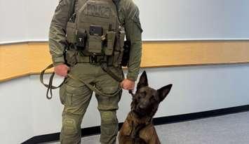 Siebe, alongside his handler, Provincial Constable Dean Ferris, who has joined the Grey Bruce OPP Canine Unit.