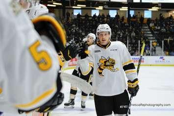 Sarnia Sting forward Jacob Perreault celebrates a goal against the Kingston Frontenacs. October 20, 2019. (Photo provided by Metcalfe Photography) 