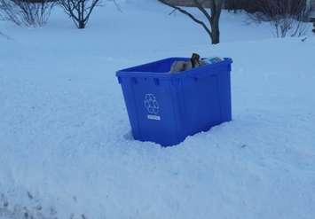 (BlackburnNews.com photo)