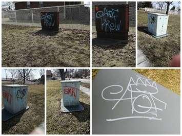 Graffiti at the Cox Youth Centre at Sarnia's Tecumseh Park. March 2022.  (Photo provided by Sarnia Police)