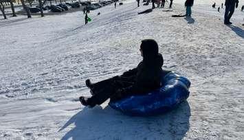 Kids sledding at Sarnia's Centennial Park. Photo by Melanie Irwin. 