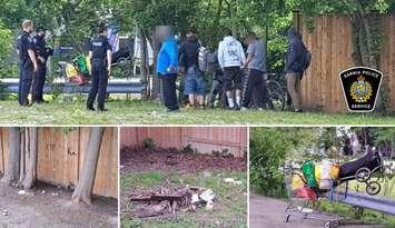 Wanted man arrested in the Laurel Lea area. June 15, 2025. (Photo courtesy of the Sarnia Police Service)