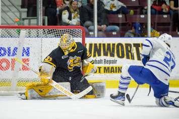 Mississauga Steelheads at Sarnia Sting, March 13, 2024. Photo by Metcalfe Photography. 