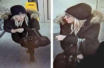 Theft from LaSalle LCBO (Photo courtesy of the LaSalle Police Service)