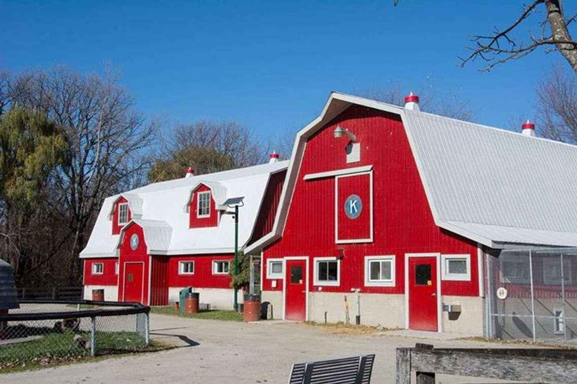 Children's Animal Farm at Sarnia's Canatara Park. (Photo by Tourism Sarnia-Lambton)