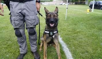 PSD Vader with his badge, August 9, 2024 (Photo by: Lindsay Newman/ Blackburn Media)