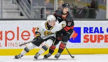 The Sarnia Sting host the Niagara Ice Dogs, Oct 26, 2024 (Photo by: Darren Metcalfe Photography)