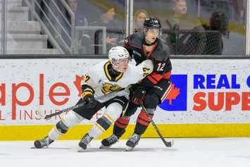 The Sarnia Sting host the Niagara Ice Dogs, Oct 26, 2024 (Photo by: Darren Metcalfe Photography)