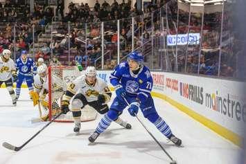 Sarnia Sting host Brampton Steelheads, Nov 30, 2024 (Photo by: Darren Metcalfe Photography)