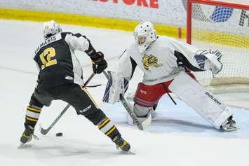 Sarnia Sting players taking part in the annual Black and White Game in support of the United Way.  2 September 2022.  (Metcalfe Photography)
