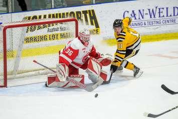 Soo Greyhounds at Sarnia Sting, February 19, 2024. Photo by Metcalfe Photography. 