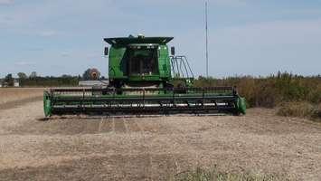 Partially completed soybean harvest. (Photo by Simon Crouch) 