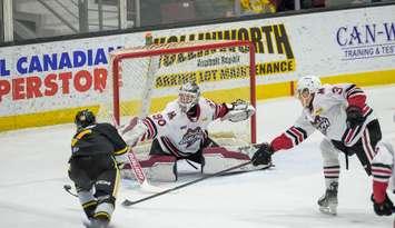 Guelph Storm at Sarnia, March 2, 2025. Photo by Metcalfe Photography. 