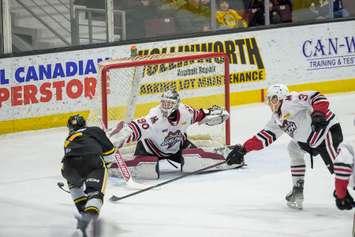 Guelph Storm at Sarnia, March 2, 2025. Photo by Metcalfe Photography. 