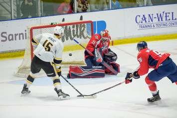 The Sarnia Sting hosting the Windsor Spitfires. 29 September 2023. (Metcalfe Photography)