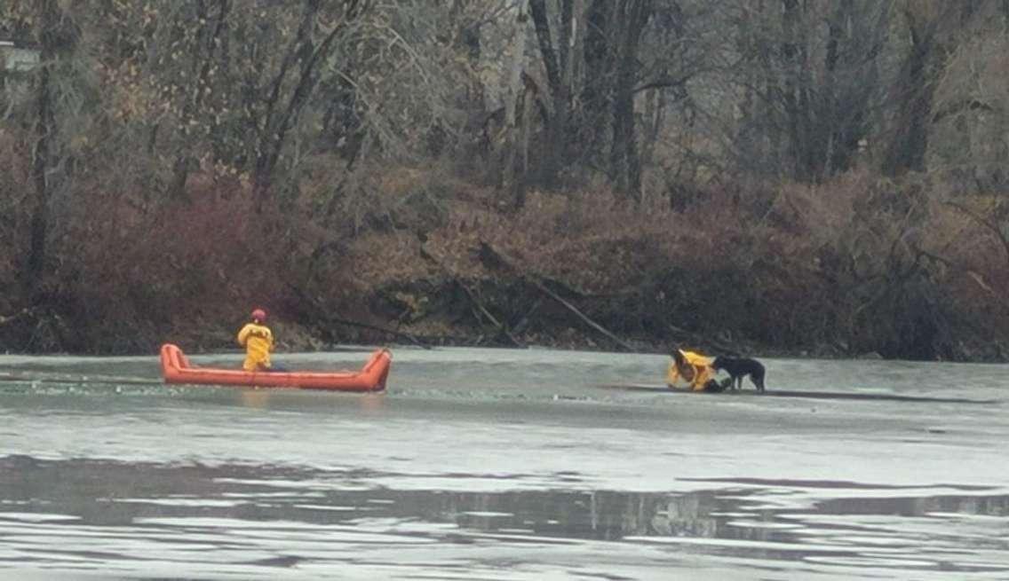 Sarnia Fire rescues a dog from an icy pond. December 2022. (Photo from the Sarnia Professional Firefighters Association Twitter page)