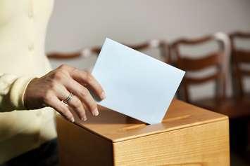(File photo courtesy of © CanStockPhoto.com/gina_sanders. )
