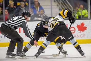 Sarnia Sting host the Brantford Bulldogs on Jan 3, 2025 (Photo by: Darren Metcalfe Photography)