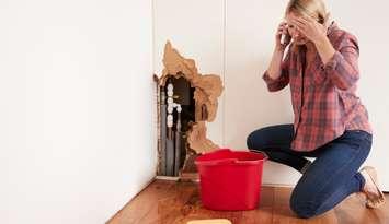 A woman calling for help after discovering a water leak. Photo by monkeybusinessimages / iStock / Getty Images Plus via Getty Images.