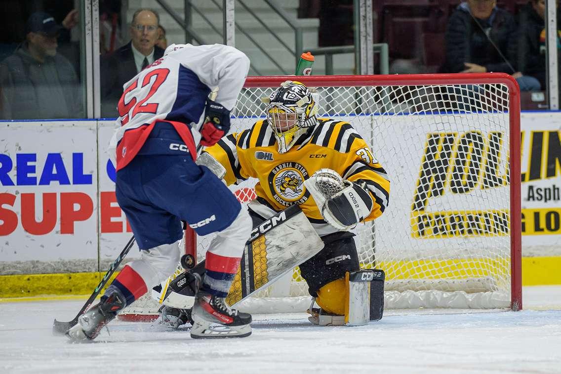 Sarnia Sting home to the Windsor Spitfires February 4, 2024. Photo by Metcalfe Photography. 