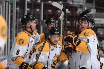 The Sarnia Sting celebrate a goal. (Photo courtesy of Metcalfe Photography