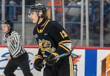 File photo Lukas Fischer (Image courtesy of the Sarnia Sting via X)