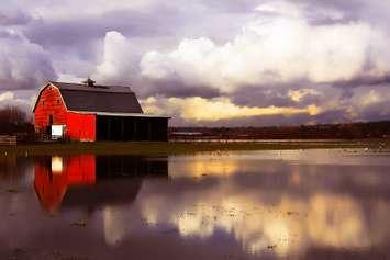 Red barn surrounded by flood water. © Can Stock Photo / Hannamariah