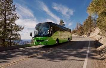 FlixBus (submitted photo)