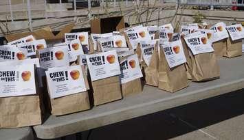 Apples handed out at the Stand up Against Poverty rally. October 18, 2024. (Photo by Natalia Vega)