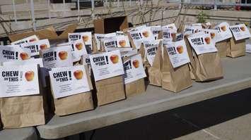 Apples handed out at the Stand up Against Poverty rally. October 18, 2024. (Photo by Natalia Vega)