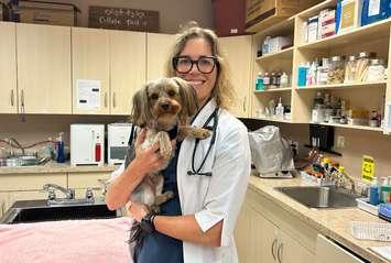 Dr. Jamie McGill Worsley. (submitted photo)