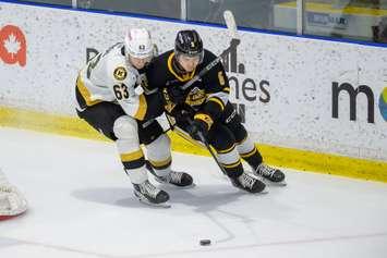 Sarnia Sting host Kingston Frontenac's at Progressive Auto Sales arena on March 10, 2024 (Metcalfe Photography)