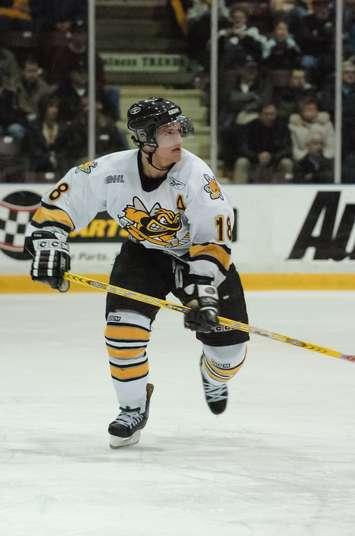 NHLer Micheal Haley during his time with the Sarnia Sting (Photo by Metcalfe Photography)