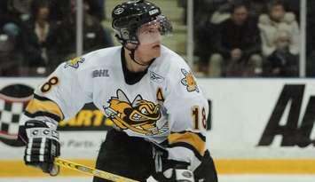 NHLer Micheal Haley during his time with the Sarnia Sting (Photo by Metcalfe Photography)