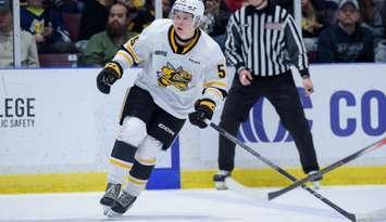 Sean Doherty. Photo provided by Sarnia Sting/OHL.