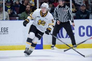 Sean Doherty. Photo provided by Sarnia Sting/OHL.