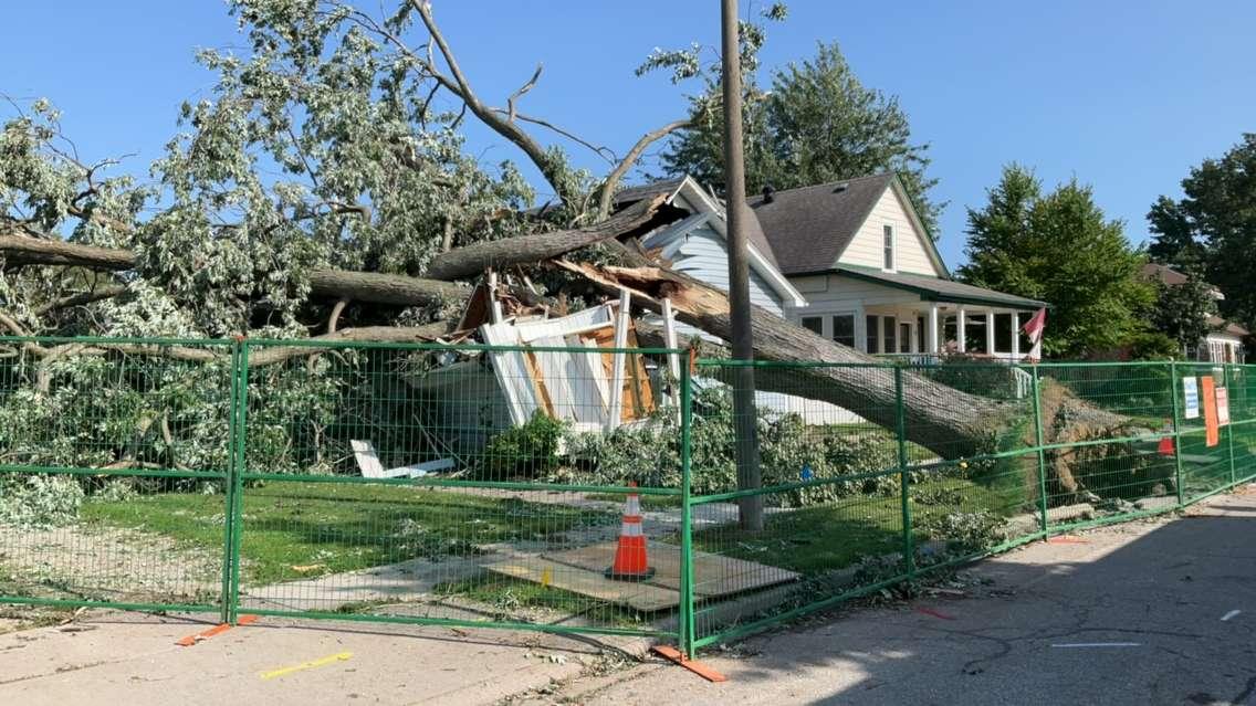 A large tree in Kingsville that unfortunately did severe damage to a home when it fell during a downburst. July 26, 2023. Photo by Northern Tornadoes Project.