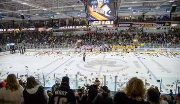 Sarnia Sting host Kitchener Rangers Sunday Dec, 3. Photo by Metcalfe Photography.