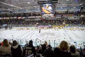 Sarnia Sting host Kitchener Rangers Sunday Dec, 3. Photo by Metcalfe Photography.