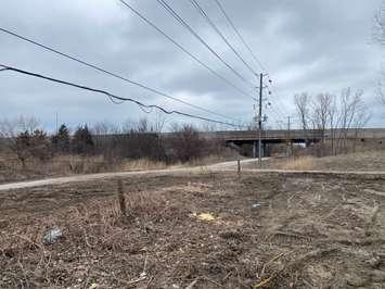 Trees removed from the Howard Watson Nature Trail to make way for The Rapids Parkway extension. March, 2023 Photo by Melanie Irwin