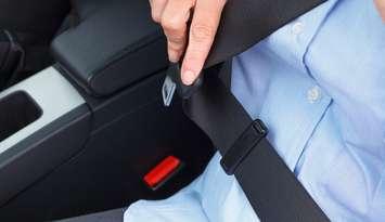 Driver buckling seat belt file photo courtesy of © Can Stock Photo / RTimages