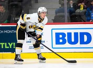 Owen MacDonald of the Sarnia Sting. Photo by Natalie Shaver/OHL Images